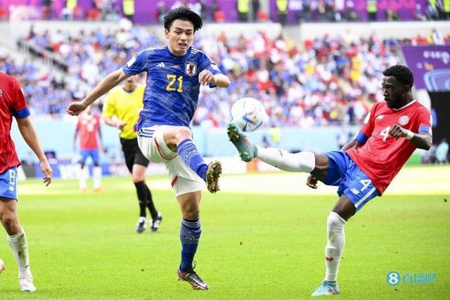 但只有建立 但只有建立