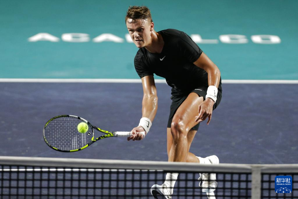 野外召唤物 野外召唤物