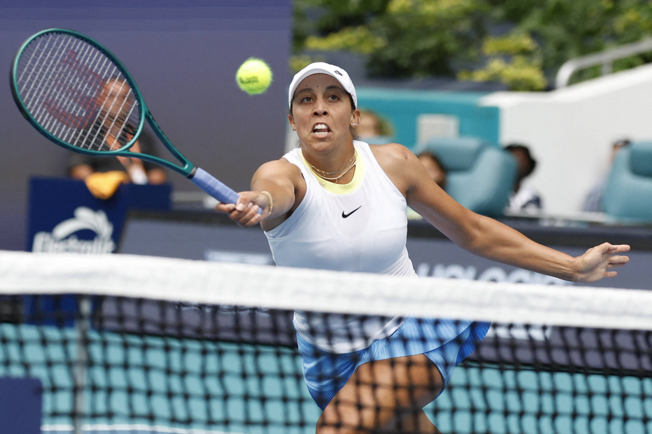 关键词从 关键词从